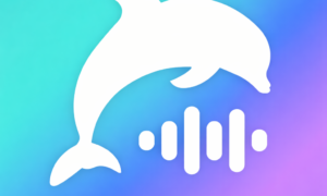 Ayome coins purchase