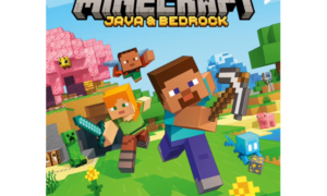 Minecraft Java & Bedrock Edition